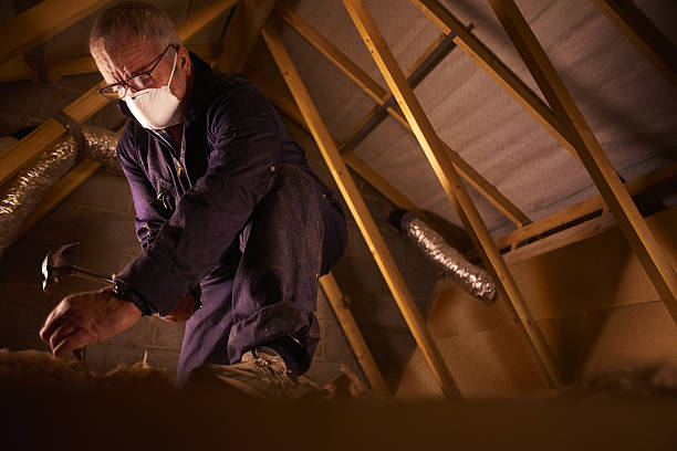 Best Insulation Materials and Products in Valmeyer, IL