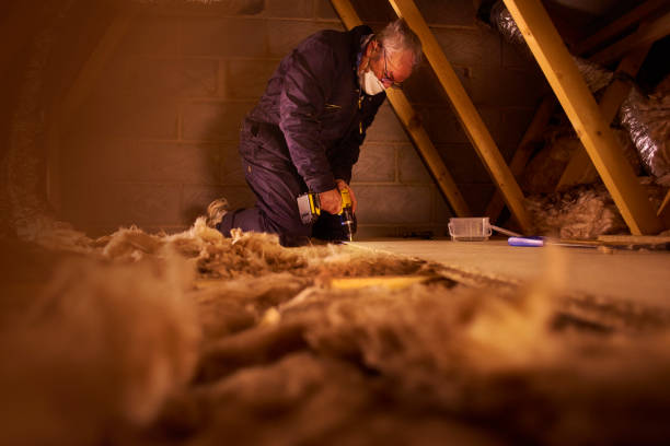 Best Insulation Maintenance and Repair in Valmeyer, IL